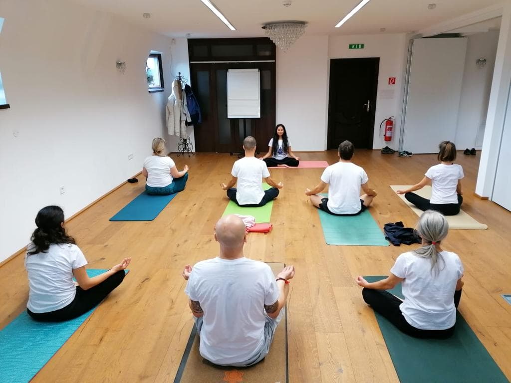 A group yoga and meditation session